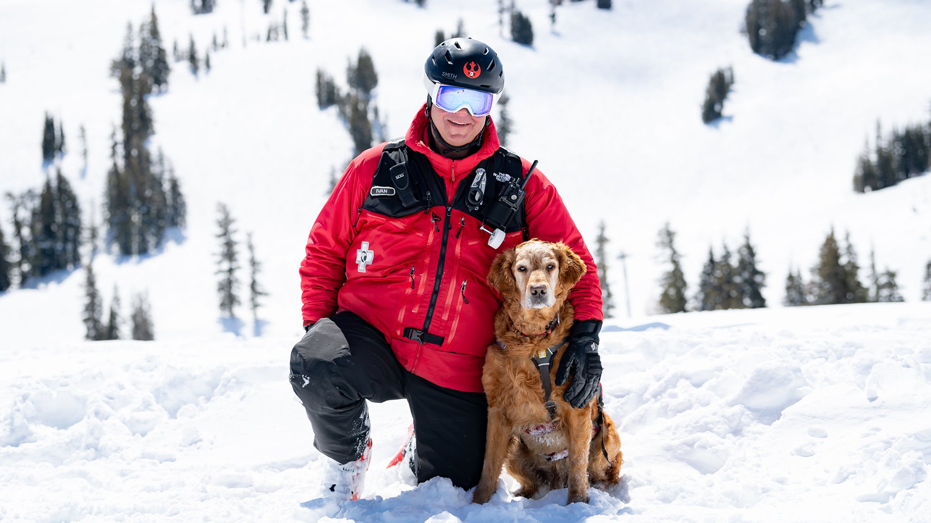 Featured image showing a safety guide and an avalanche dog at Palisades Tahoe