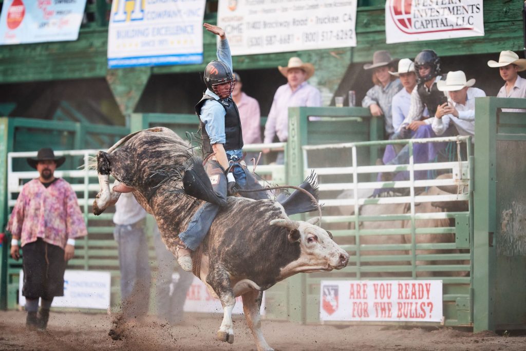 Truckee Rodeo Featured image showing a bull rider competing at the Truckee Pro Rodeo in Truckee, California at McIver Arena.