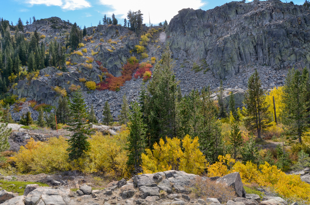 Red and yellow fall colors in Sierra Nevada mountains Truckee, California