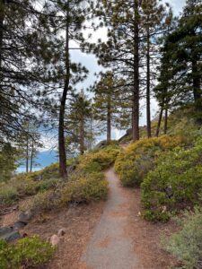 Life in Truckee Starts on the Trail