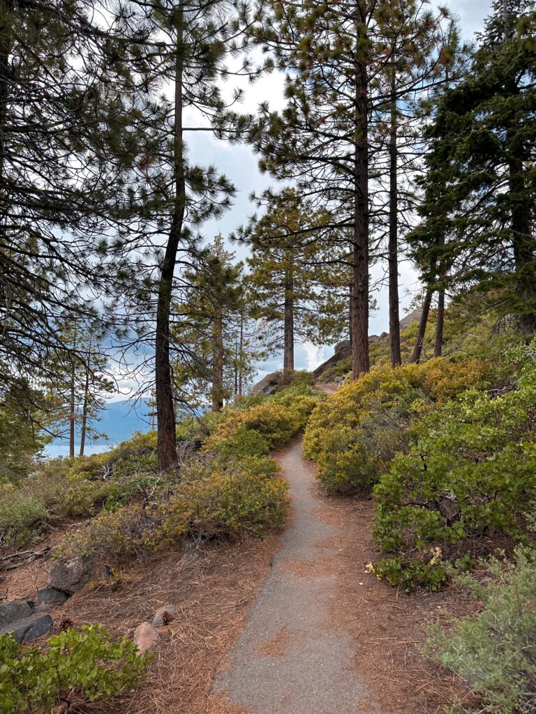 Hiking,Through,Northern,California,Forests.,Hiking,Along,Lakes,And,Nature.